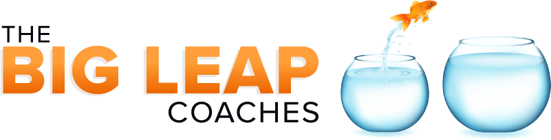 The Big Leap Coaches
