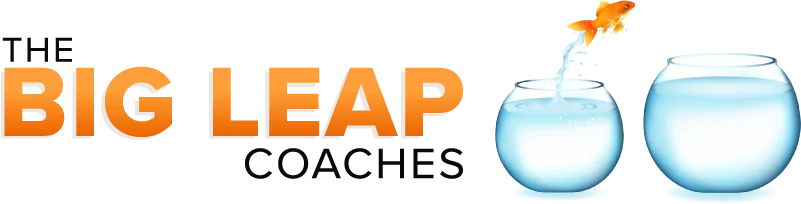The Big Leap Coaches