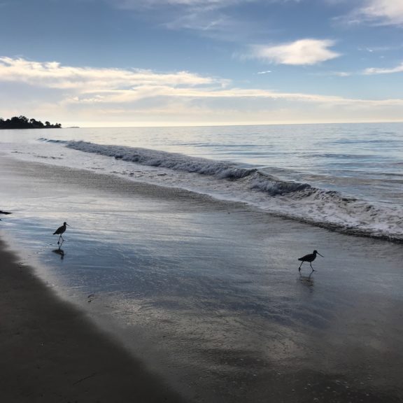 Bates Beach October 8